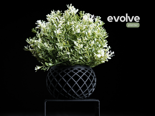 Evolve Planter